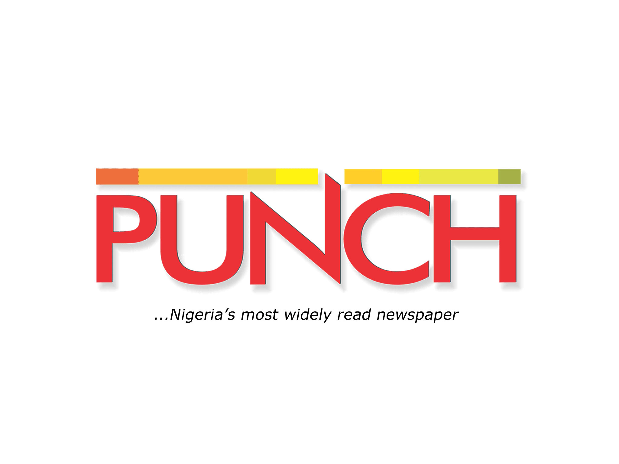 DBI President Interview with The Punch Newspaper on the role of DBI in the Digital Economy